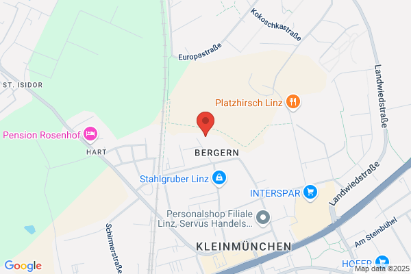Linz AG