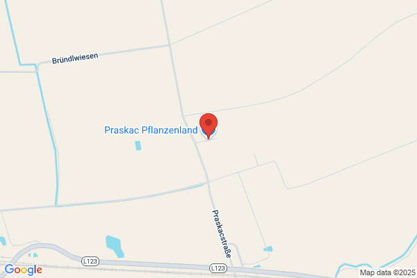 Ing. Franz Praskac
