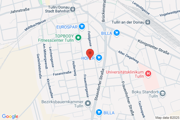 Institut zur Beruflichen Integration - IBI