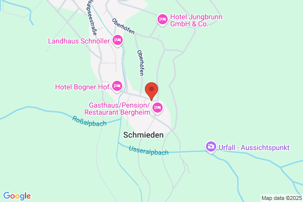Nedeltchev Georg - Musik Unterhaltung Klavier Unterricht