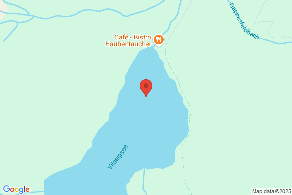 Metzler und Rief OEG Alpe Vilsalpsee