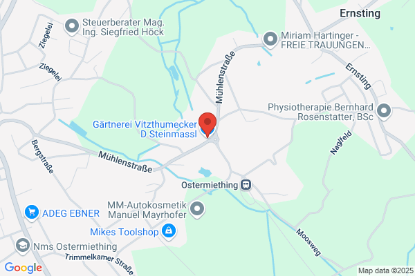 Gaertnerei Vitzthumecker D Steinmassl