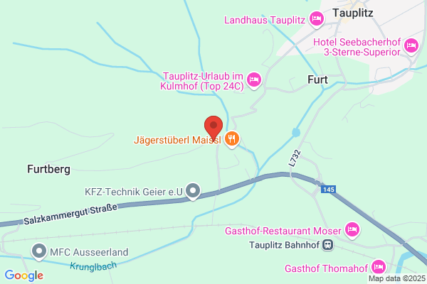 Geier Gesellschaft m.b.H.