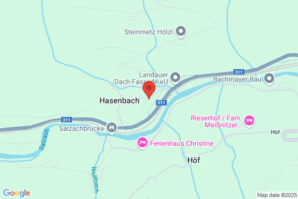 Wilhelm Meissnitzer Holzhandel und -schlaegerungen.