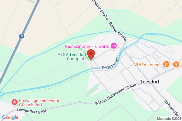 1. Teesdorfer Faschingsverein