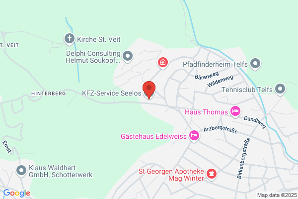 KFZ - Chip-Tuning Seelos