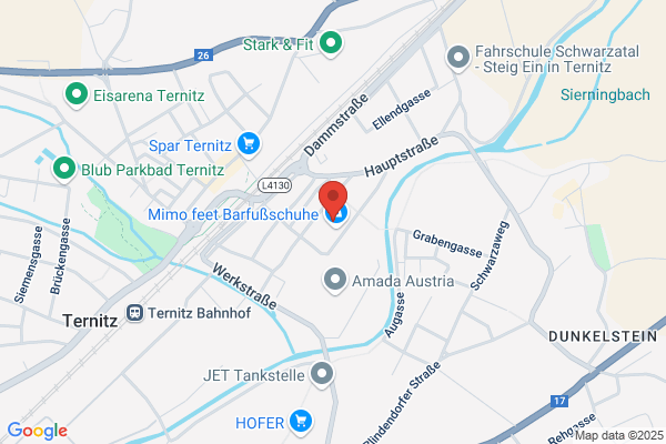 RIZ Regional-Innovations- Zentrum NOe-Sued Informations- transfer u BeratungsgesmbH