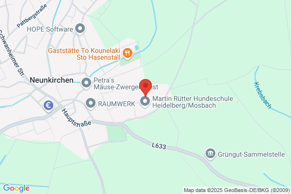 Bacher Heinrich
