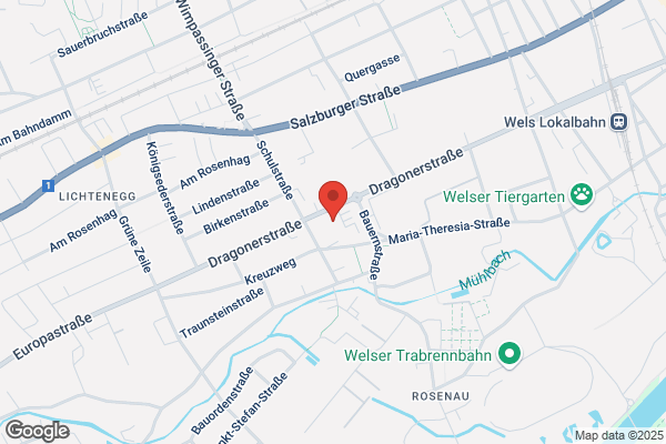 Carglass® Wels