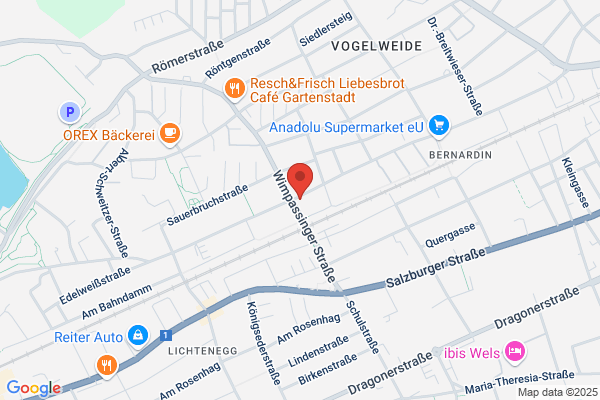 AUTOGLAS FIEDLER