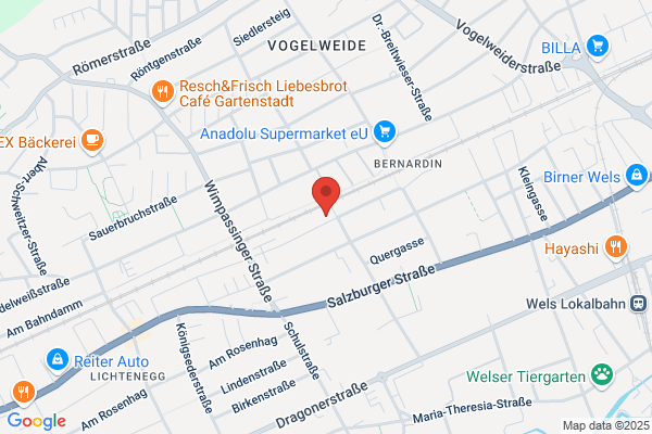 Lorencic GmbH Nfg & Co KG