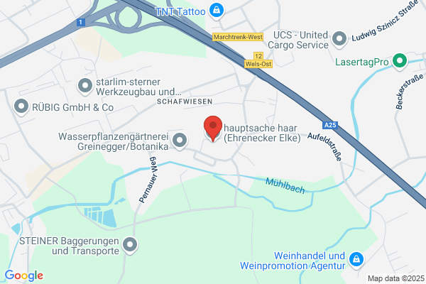 Hauptsache Haar - Elke Ehrenecker