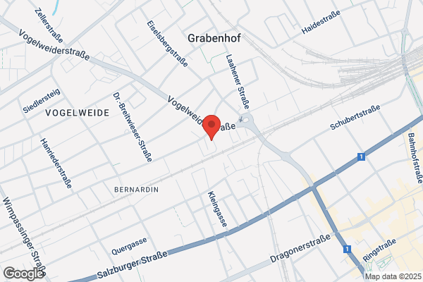 HÖGLINGER GmbH