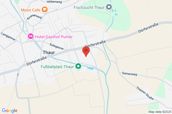 Auto-Noessing