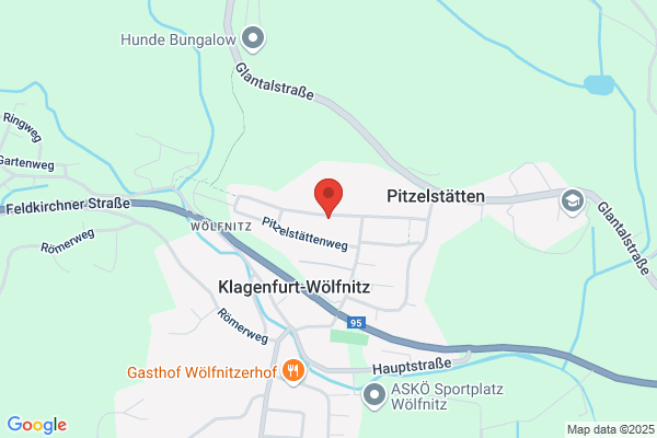 BSVOe-Sektion-Pool Heinz Koechl