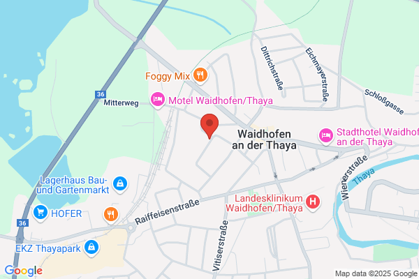 Freiwillige Feuerwehr d.Stadt Waidhofen a.d.Thaya