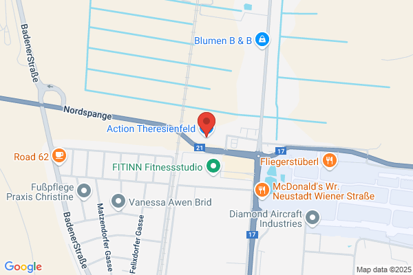 Action Theresienfeld