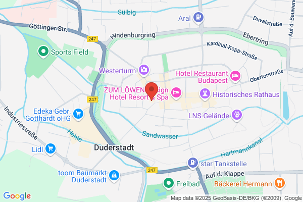 Elfriede Rossmann