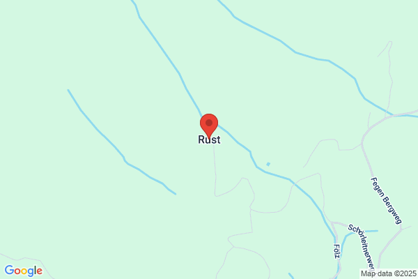 Erich Rust
