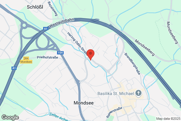 Mondseer Ges.mbH