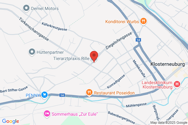 Rille Roland Dipl-TA