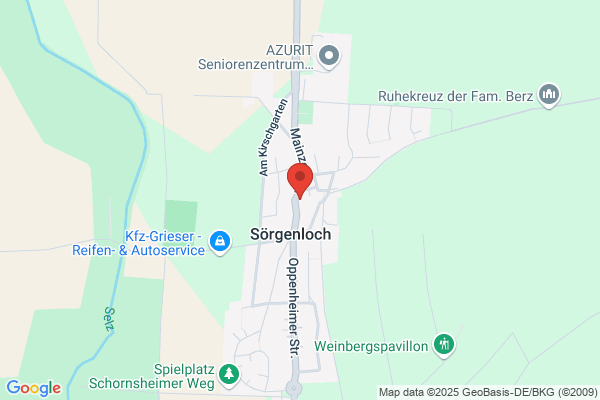Bar-Restaurant S'Ofenloch