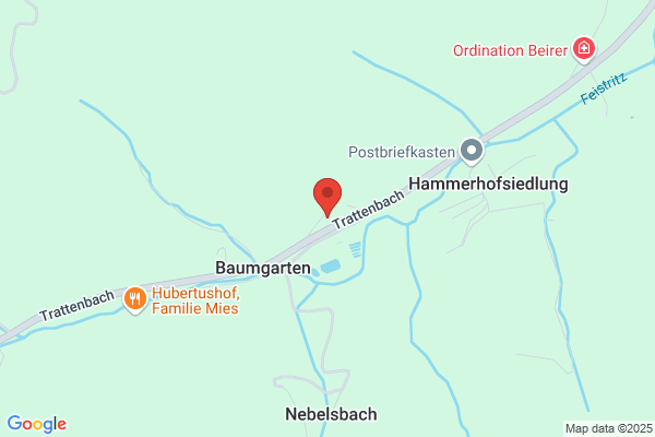 Angerler Friederike