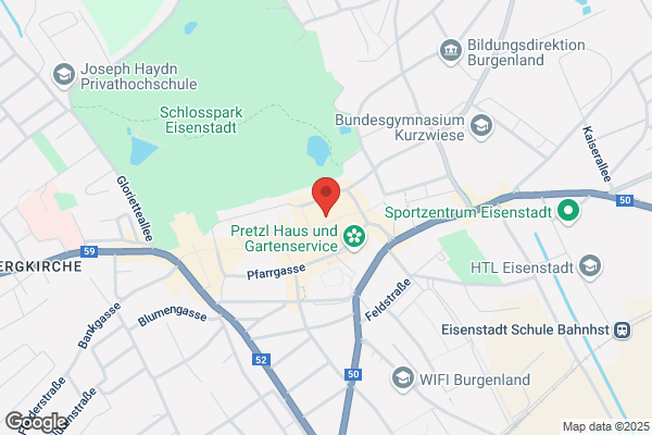 Mag. Josef Steininger Wirtschaftspruefungs und Steuerberatungs GmbH