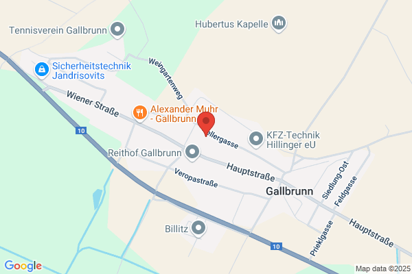 Havlicek Karin Dipl-Log