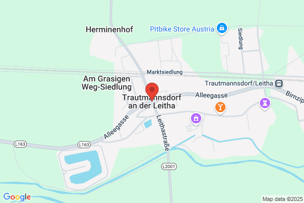 Ing. Leopold Watzin