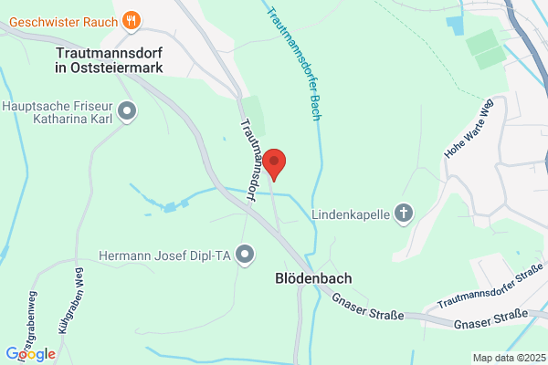 HWF Froemmel Beteiligungsgesellschaft m b H