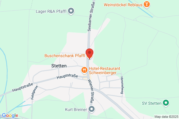Heinz Pfaffl