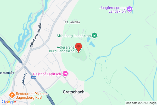 Burgruine Landskron Adlerflugschau