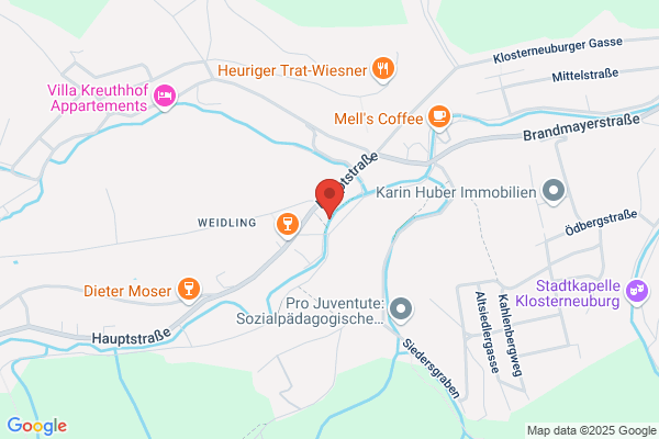 Wiener Jeunesse Orchester