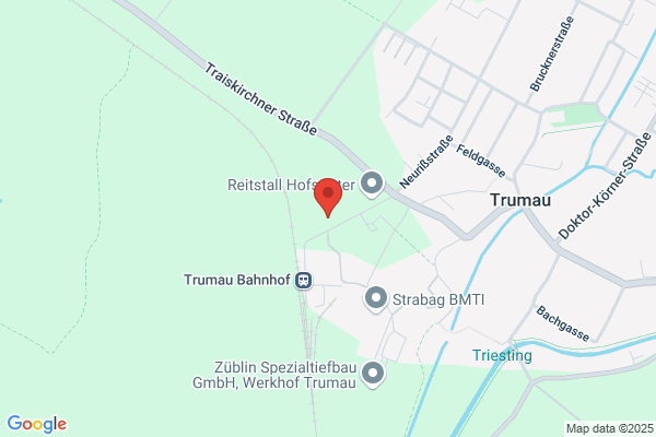 Freiwillige Feuerwehr