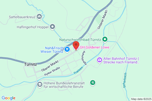 Hotel zum goldenen Loewen