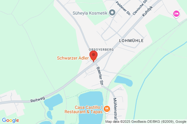 Schwarzer Adler