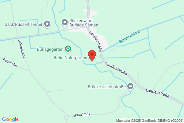 Bonstingl und Fischl OEG