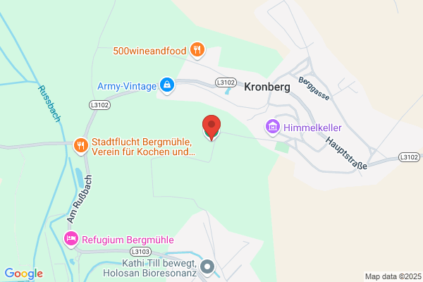 USC Kronberg