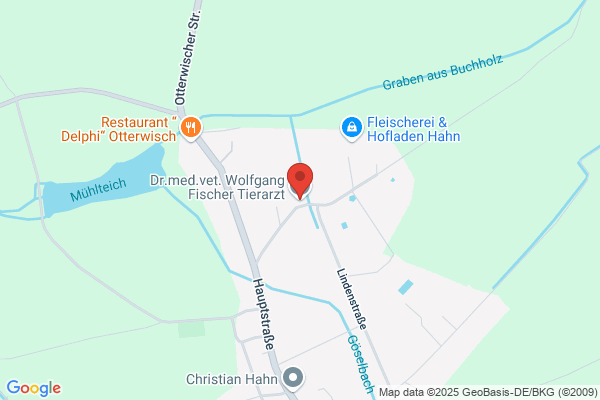 Fischer Otto Wolfgang Dipl- TA Dr