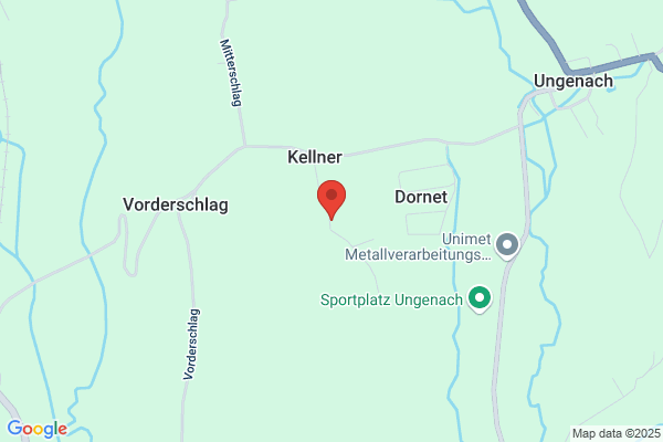 Dominik Purer