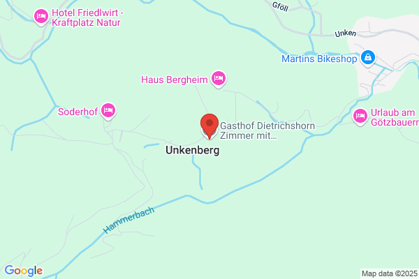 Gasthaus-Pension Dietrichshorn