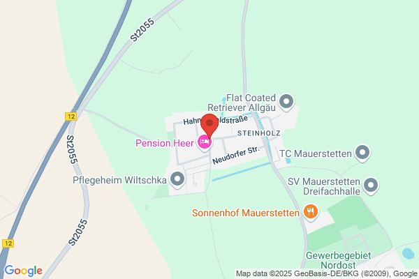 Wizzi und die starken Maenner