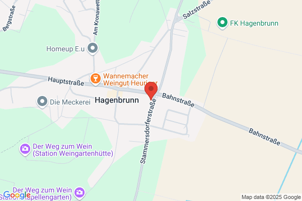 Franz Stummvoll Hagenbrunn
