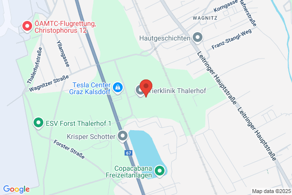 Fit auf 4 Pfoten - Verena Schautzer