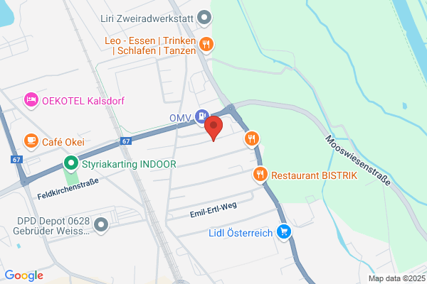 Pail Franz A Ing - Projekt u Beschaffungsmanagement