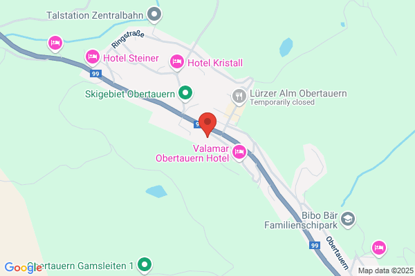 Pizzeria Hintertuerl