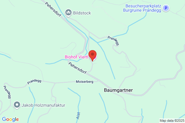 Anna Rockenschaub
