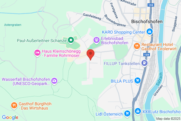 Musikhaus Lechner, Erzeugung von und Hdl. mit Musikinstr. Gesellschaft m.b.H.