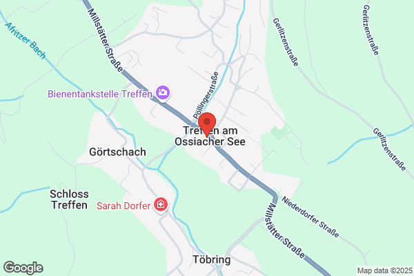 Gasthaus-Hotel Treffnerhof